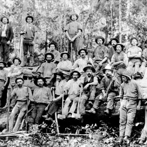 Timber cutters and railway workers Nerang circa 1914 Photographer unknown