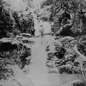 View of Purlingbrook Falls at Springbrook, 1910 Photographer unknown
