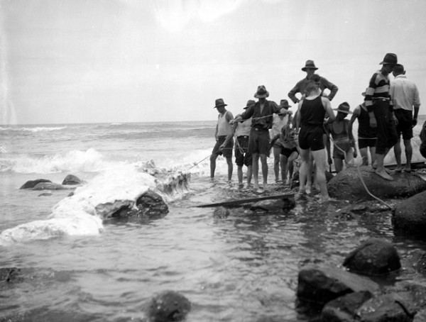 Whale carcas on Burleigh beach Christmas season 1926 George Jackman photographer