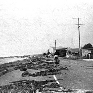 Woman cycling amongst the debris left by a cyclone on Marine Parade near the Grand Hotel, Labrador, Queensland, 1954 Photographer unknown