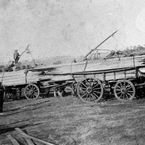 Timber at the Pioneer Sawmill, circa 1920s. Photographer unknown
