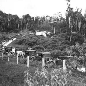 Cars waiting for the Coomera ferry to open, circa 1920s. Photographer unknown