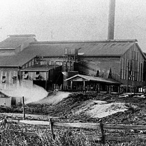 Nerang Central Sugar Mill at Benowa, 1915. Photographer unknown