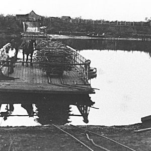 Carrara Ferry transporting sugar cane to the Nerang Central Mill, 1897. Photographer unknown