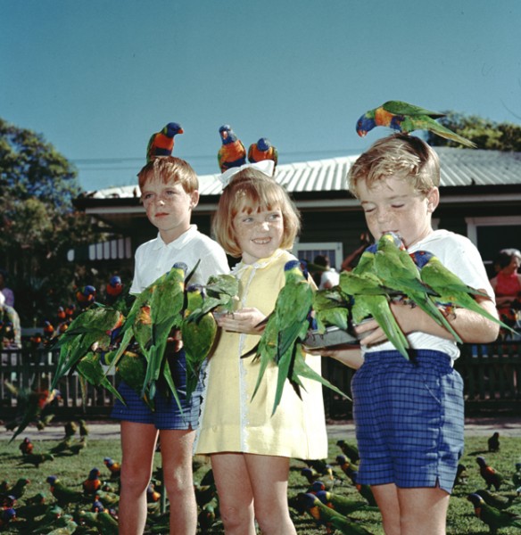 Children with lorikeets photographer unknown LS-LSP-CD408-IMG0001