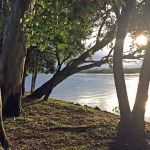 Coomababah Creek June 2015 Photographer D Schmidt