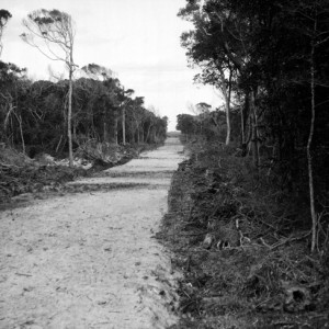 Believed to be early construction of the road through Main Beach circa 1930s George A Jackman, photographer