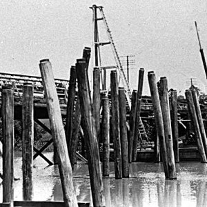 Construction of the road bridge across the Albert River at Yatala 1925 Photographer unknown