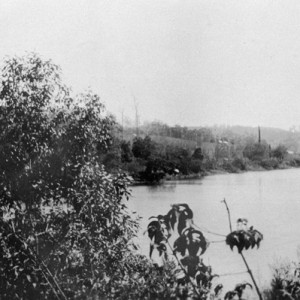 Currumbin Creek, Currumbin Valley, Queensland, circa 1920 Photographer unknown