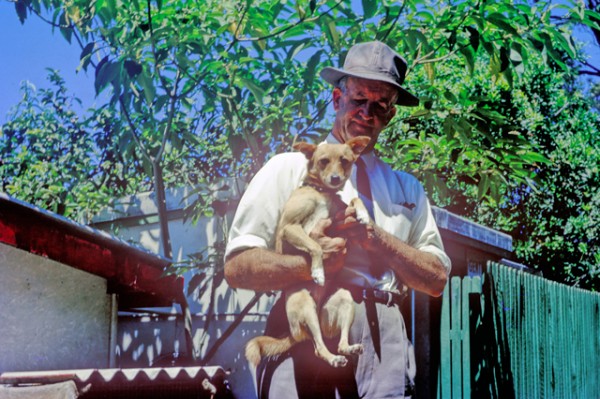 Harry, later to be known as Harriet, the tortoise at Fleay’s Fauna Reserve, West Burleigh, Queensland, circa 1960 Harriet was collected from the Galapagos Islands in 1835 by Sir Charles Darwin G A Black photographer