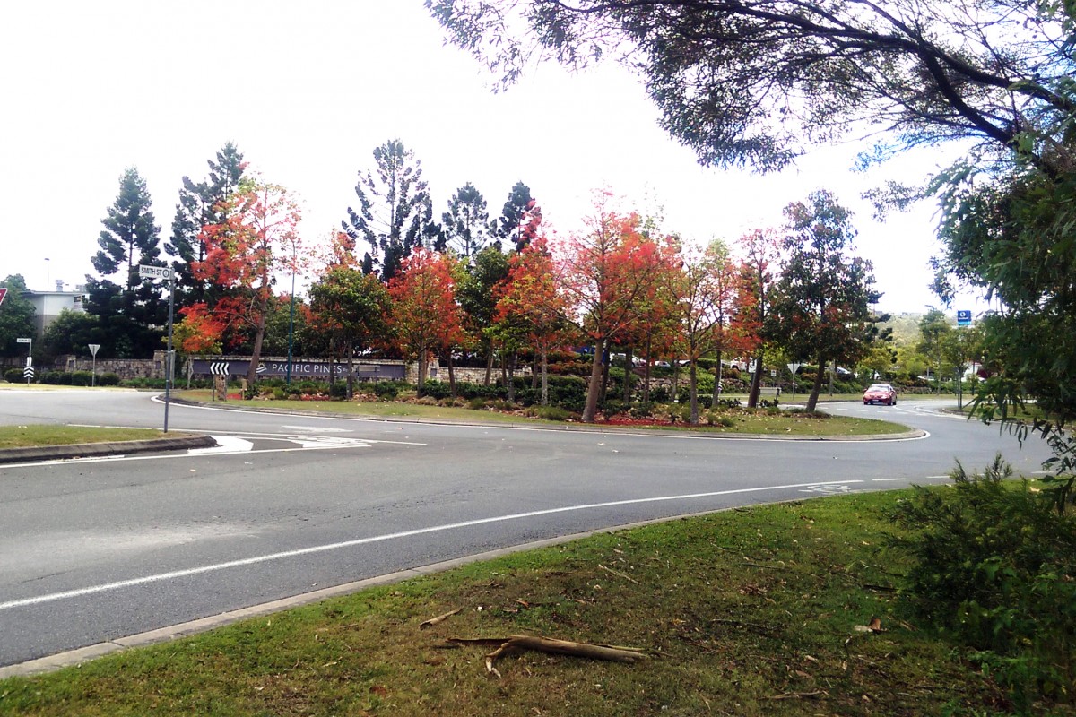 Pacific Pines Gold Coast City Libraries