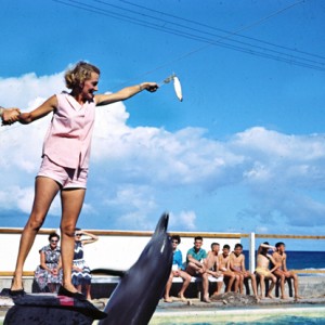 Feeding the porpoises at Jack Evans' Porpoise Pool, Tweed Heads, New South Wales, November 1958 Arthur Leebold photographer