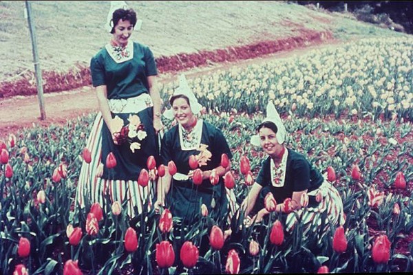 Staff intraditional costume at the Tulip Farm circa 1966 Alexander McRobbie photographer