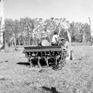 Planting pasture on the Platell farm, Florida Gardens, circa 1950. Photographer unknown