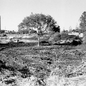 Development beside T E Peters Drive, Florida Gardens, circa 1987. L. Cleland, photographer