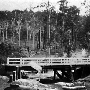 Back Creek, Advancetown, circa 1920s. Photographer unknown