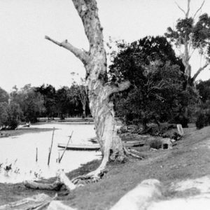 Brighton Parade along side Gardiner's Creek, Southport, circa 1925. Photographer unknown