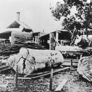Pioneer Sawmill at West Burleigh, circa 1922. Photographer unknown