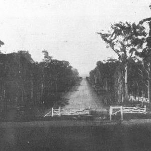 Palm Beach Avenue near Elanora railway siding, circa 1928. Photographer unknown