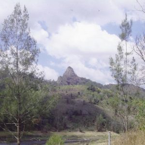 Pages Pinnacle near Advancetown, 26 September 2004. Susan Mills, photographer