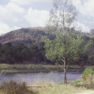 Upper reaches of the Hinze Dam catchment area, 26 September 2004. Susan Mills, photographer