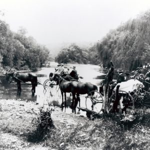 Horsedrawn vehicles crossing the Coomera River, circa 1911. Photographer unknown